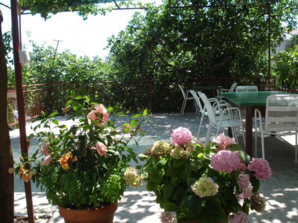 Pavlinovic Jure Apartamento Makarska Exterior foto